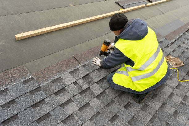 Best Roof Gutter Cleaning  in Lazy Mountain, AK