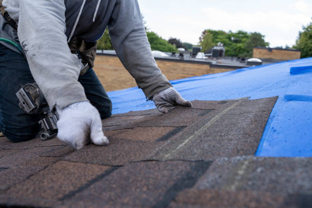 Best Flat Roof Repair Services  in Lazy Mountain, AK