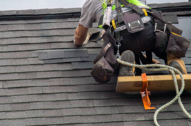 Best Roof Repair Services  in Lazy Mountain, AK
