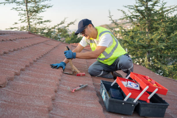 Best Best Roofing Contractors  in Lazy Mountain, AK