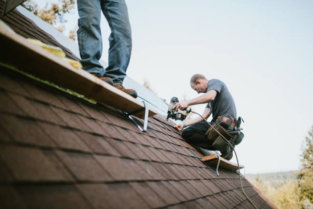 Best New Roof Installation  in Lazy Mountain, AK