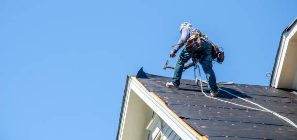 Best Tile Roofing Contractor  in Lazy Mountain, AK